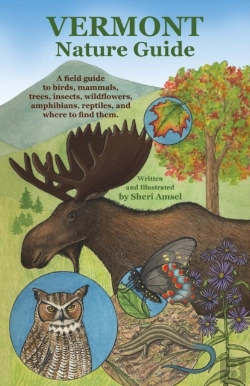 Bertrand.pt - Vermont Nature Guide
