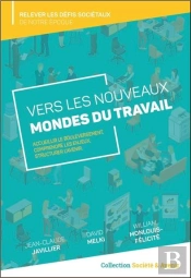 Vers Les Nouveaux Mondes Du Travail - Accueillir Le Bouleversement, Comprendre Les Enjeux, Structure