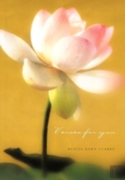 Bertrand.pt - Verses For You