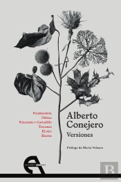 Versiones