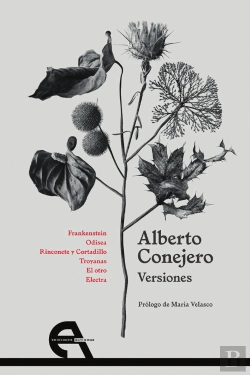 Bertrand.pt - Versiones