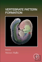 Vertebrate Pattern Formation