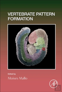 Bertrand.pt - Vertebrate Pattern Formation