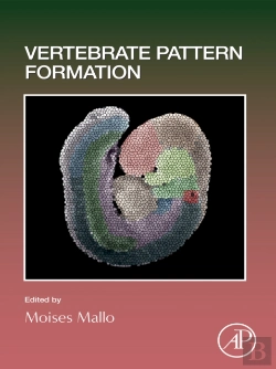Bertrand.pt - Vertebrate Pattern Formation