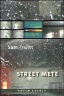 Vertical Elegies 6