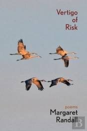 Vertigo Of Risk
