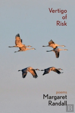 Bertrand.pt - Vertigo Of Risk