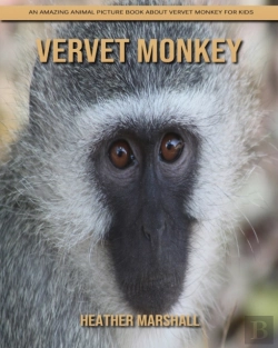 Bertrand.pt - Vervet Monkey