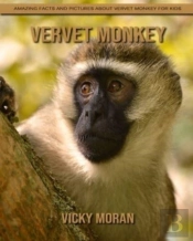 Vervet Monkey