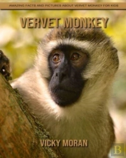 Bertrand.pt - Vervet Monkey