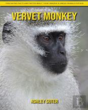 Vervet Monkey