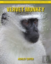 Vervet Monkey