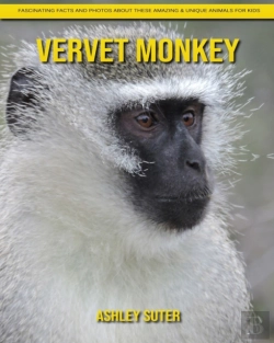 Bertrand.pt - Vervet Monkey