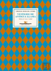 Vestigios De Antigua Llama