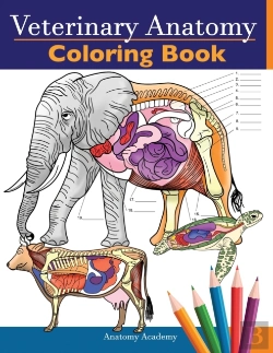 Bertrand.pt - Veterinary Anatomy Coloring Book: Animal