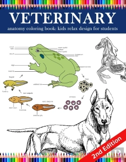 Bertrand.pt - Veterinary Anatomy Coloring Book