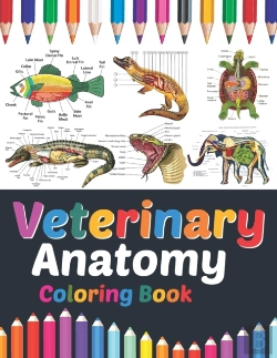 Bertrand.pt - Veterinary Anatomy Coloring Book