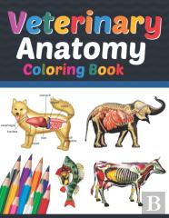 Veterinary Anatomy Coloring Book