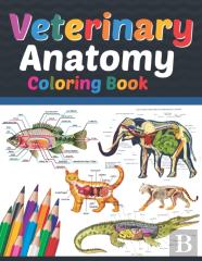 Veterinary Anatomy Coloring Book