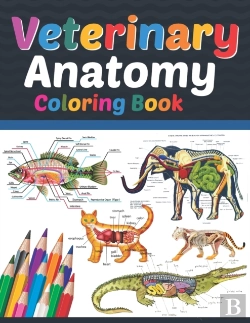 Bertrand.pt - Veterinary Anatomy Coloring Book