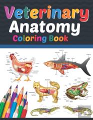 Veterinary Anatomy Coloring Book