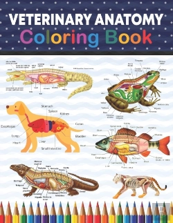 Bertrand.pt - Veterinary Anatomy Coloring Book