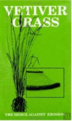 Bertrand.pt - Vetiver Grass