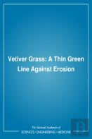Vetiver Grass