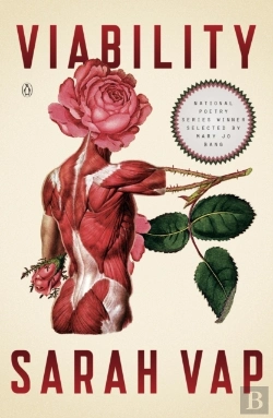 Bertrand.pt - Viability