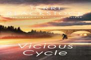 Vicious Cycle