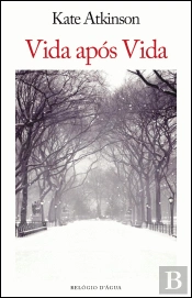 Vida Após Vida