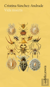 Vida Insecta