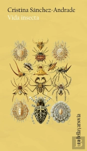 Vida Insecta