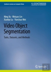 Video Object Segmentation