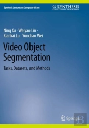 Video Object Segmentation
