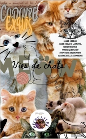 Vies De Chats : Cadavre Exquis - Écriture Collective