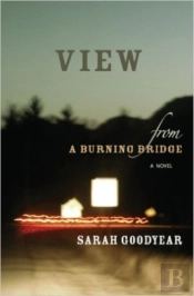 View From A Burning Bridge