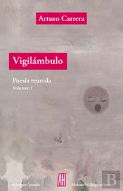 Vigilámbulo