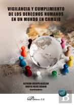 Vigilancia Y Cumplimiento De Los Derechos Humanos En Un Mundo En Cambio
