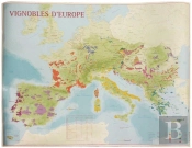 Vignoble D'Europe