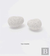 Vija Celmins