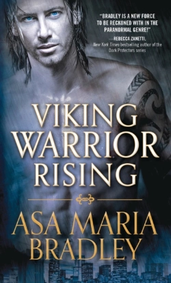 Bertrand.pt - Viking Warrior Rising