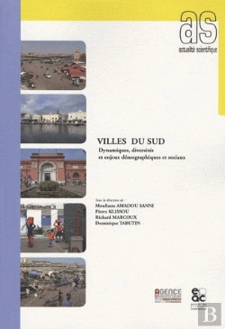 Bertrand.pt - Villes Du Sud ; Dynamiques, Diversités Et Enjeux Démographiques Et Sociaux