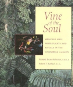 Bertrand.pt - Vine Of The Soul
