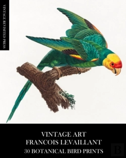 Bertrand.pt - Vintage Art: Francois Levaillant 30 Bota