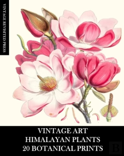 Bertrand.pt - Vintage Art: Himalayan Plants 20 Botanic