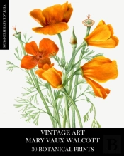 Vintage Art: Mary Vaux Walcott 30 Botani