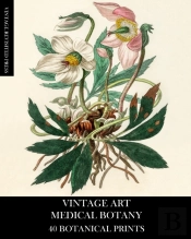 Vintage Art: Medical Botany 40 Botanical