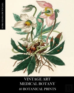 Bertrand.pt - Vintage Art: Medical Botany 40 Botanical
