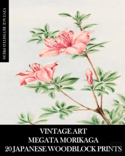 Bertrand.pt - Vintage Art